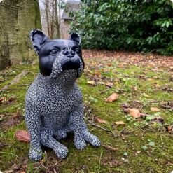 BOULEDOGUE FRANÇAIS / 35CM